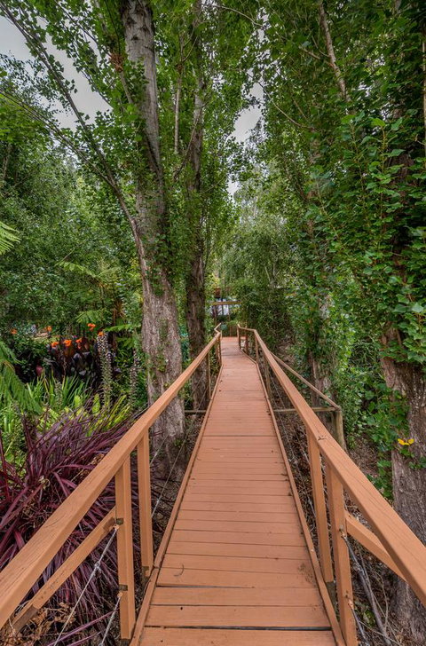 Chimes Spa Retreat - Accommodation Broome 25