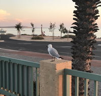 Shark Bay Seafront Apartments - Accommodation Broome