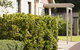 Amalfi Resort - thumb 9