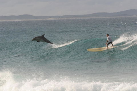 Crescent Head Spa Villa - Accommodation Broome 22