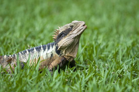 Flynns Beach Resort - Accommodation Broome 14