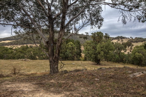 Pound Creek Gallery - Accommodation Broome 29