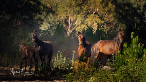 Pound Creek Gallery - Accommodation Broome 18