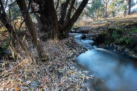 Pound Creek Gallery - Accommodation Broome 26