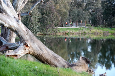 Mercure Albury - Accommodation Broome 15