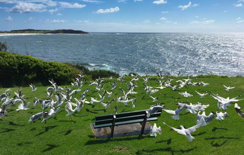 Waterview Beach Apartment - Accommodation Broome 25