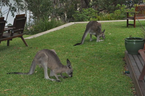 By The Beach B&B Self Contained Apartments - Accommodation Broome 28