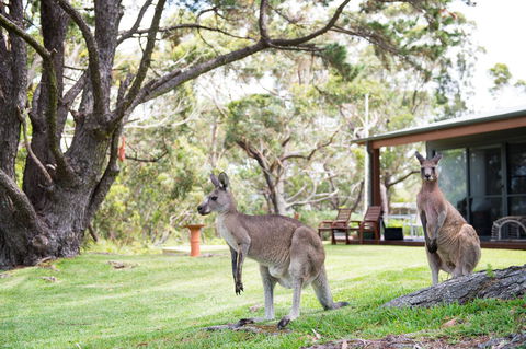 By The Beach B&B Self Contained Apartments - Accommodation Broome 17