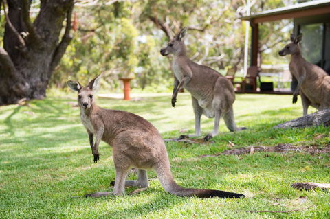 By The Beach B&B Self Contained Apartments - Accommodation Broome 16