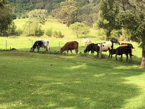 Arcadia - The Barn Cottage & Rosehill Cottage - Accommodation Broome 26