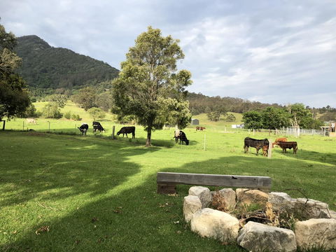 Arcadia - The Barn Cottage & Rosehill Cottage - Accommodation Broome 29