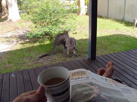Bush & Bay Cottage - Accommodation Broome 29