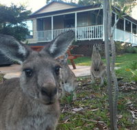 Bush  Bay Cottage - Accommodation Broome