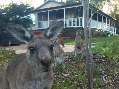 Bush & Bay Cottage - Accommodation Broome 0