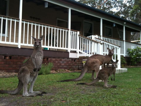 Bush & Bay Cottage - Accommodation Broome 30