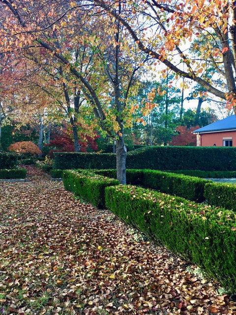 Chanticleer Gardens Barn Cottage With A Pool - Accommodation Broome 37