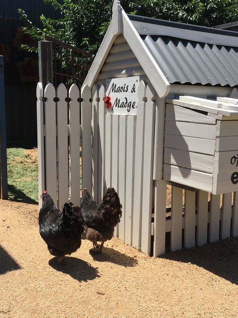 Thelma's Temora - Accommodation Broome 12