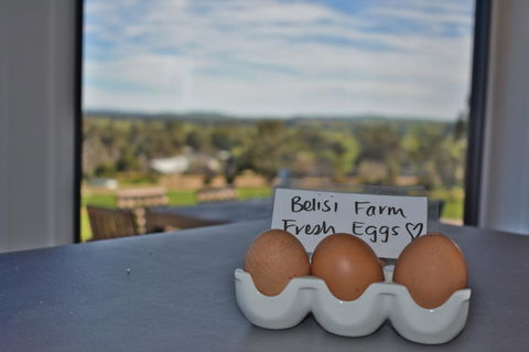 Belisi Farmstay Cottage - Accommodation Broome 20
