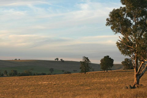 Belisi Farmstay Cottage - Accommodation Broome 33