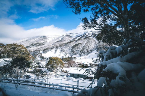 Pure Chalet Thredbo - Accommodation Broome 31