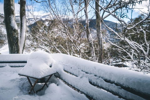 Pure Chalet Thredbo - Accommodation Broome 19