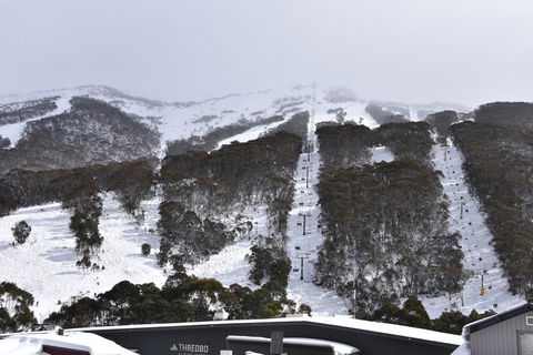 Pure Chalet Thredbo - Accommodation Broome 6