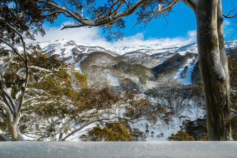 Pure Chalet Thredbo - Accommodation Broome 17