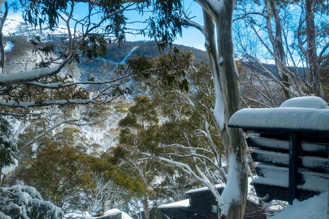 Pure Chalet Thredbo - Accommodation Broome 30