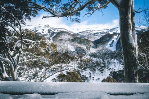 Pure Chalet Thredbo - Accommodation Broome 2