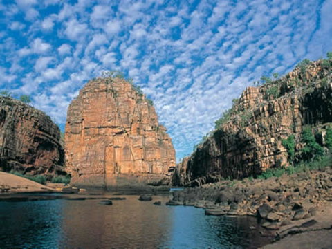Pine Tree Motel - Accommodation Broome 42