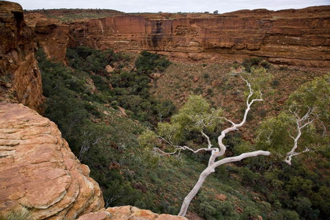 Kings Creek Station - Accommodation Broome 15