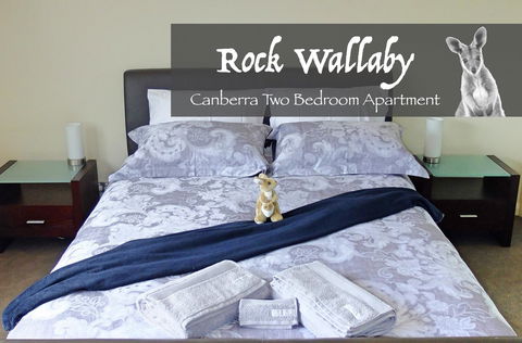 Rock Wallaby - Accommodation Broome 4
