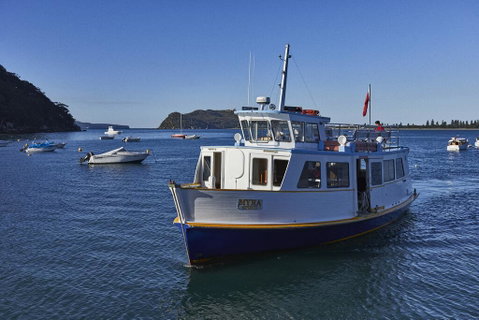 Cape Mackerel Cabin With Magic Palm Beach & Pittwater Views - Accommodation Broome 2