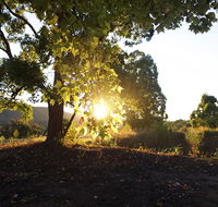 Clarendon Forest Retreat - Accommodation Broome