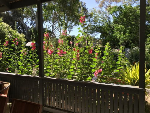 Clarevale Cottage B&B - Accommodation Broome 1