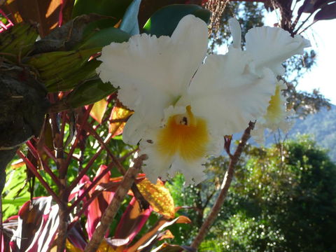 Coral Sea Views - Accommodation Broome 2