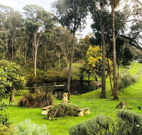 Countryside Retreat Intimate Studio Hepburn - Daylesford - Accommodation Broome