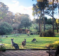 Countryside Retreat Spa Cottage Hepburn - Daylesford - Accommodation Broome