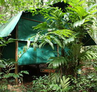 Daintree Crocodylus - Accommodation Broome