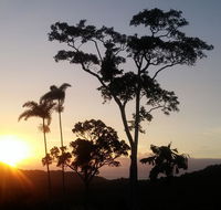 Daintree Holiday Homes - Yurara - Accommodation Broome