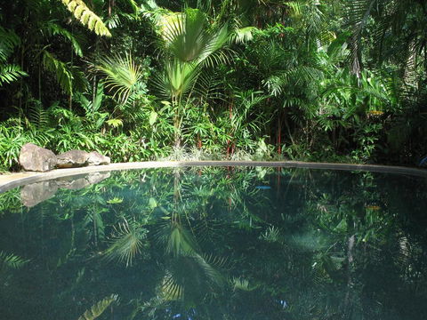 Daintree Rainforest Retreat Motel - Accommodation Broome 0