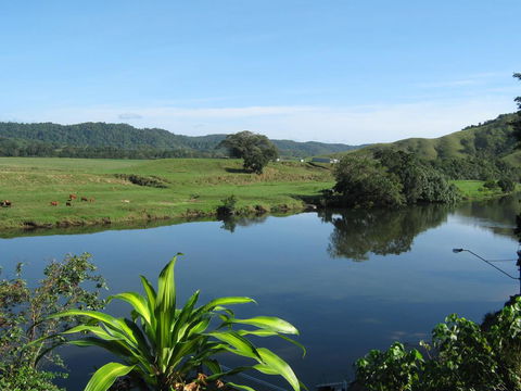 Daintree Riverview Lodges - Accommodation Broome 0