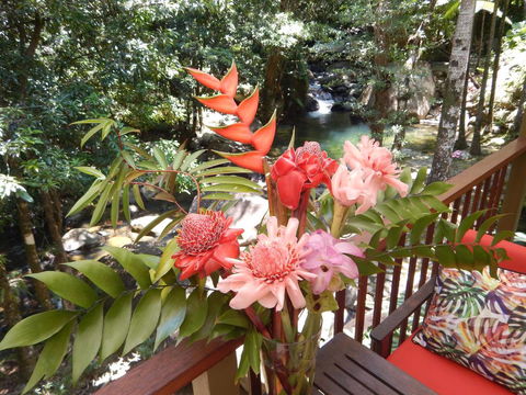 Daintree Secrets Rainforest Sanctuary - Accommodation Broome 1