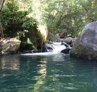 Daintree Secrets Rainforest Sanctuary - Accommodation Broome