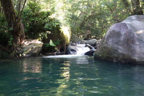 Daintree Secrets Rainforest Sanctuary - Accommodation Broome 0