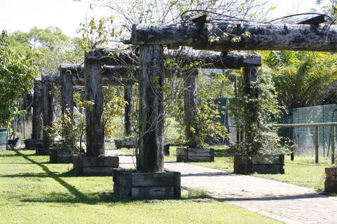 Daintree Wild Bed & Breakfast - Accommodation Broome 2