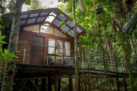 Daintree Wilderness Lodge - Accommodation Broome 2