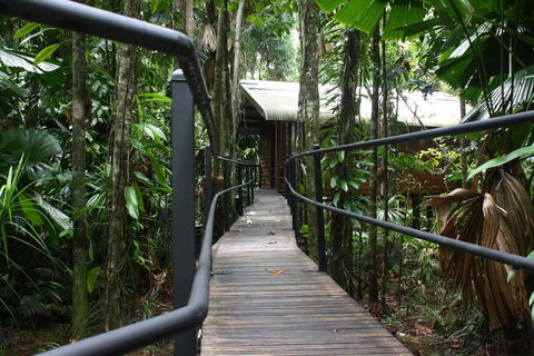 Daintree Wilderness Lodge - Accommodation Broome 0