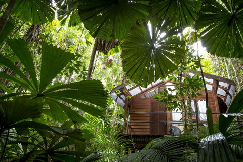 Daintree Wilderness Lodge - Accommodation Broome 1