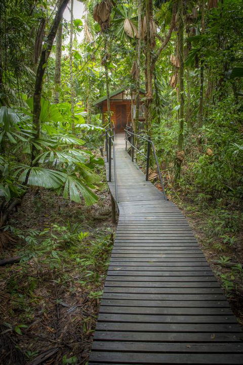 Daintree Wilderness Lodge - Accommodation Broome 3